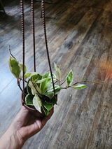 Jessica Durkee review photo
