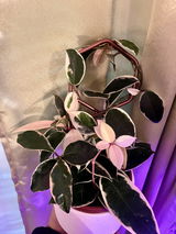 Amy M review photo