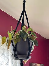 Sandra Fitzgibbon review photo