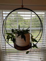 Diane S review photo