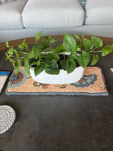 Marci review photo