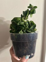 Kimberly W review photo