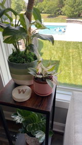 Ann West review photo