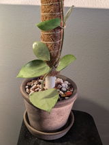 Kimberly Reeser review photo