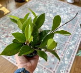Crissy S review photo