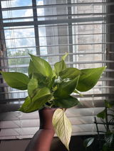 BENITA NEWBY review photo