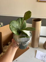 Berkley review photo