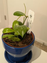 Kimberly Reeser review photo