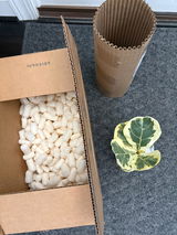 Anonymous review photo