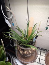 Arron S review photo