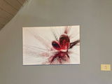 marijke segers review photo