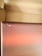MICHELE D’AGOSTINO review photo
