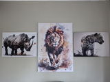 Kobus Beukes review photo