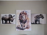 Kobus Beukes review photo