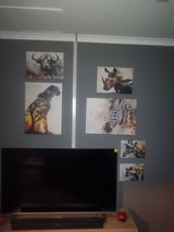 Morne Fourie review photo