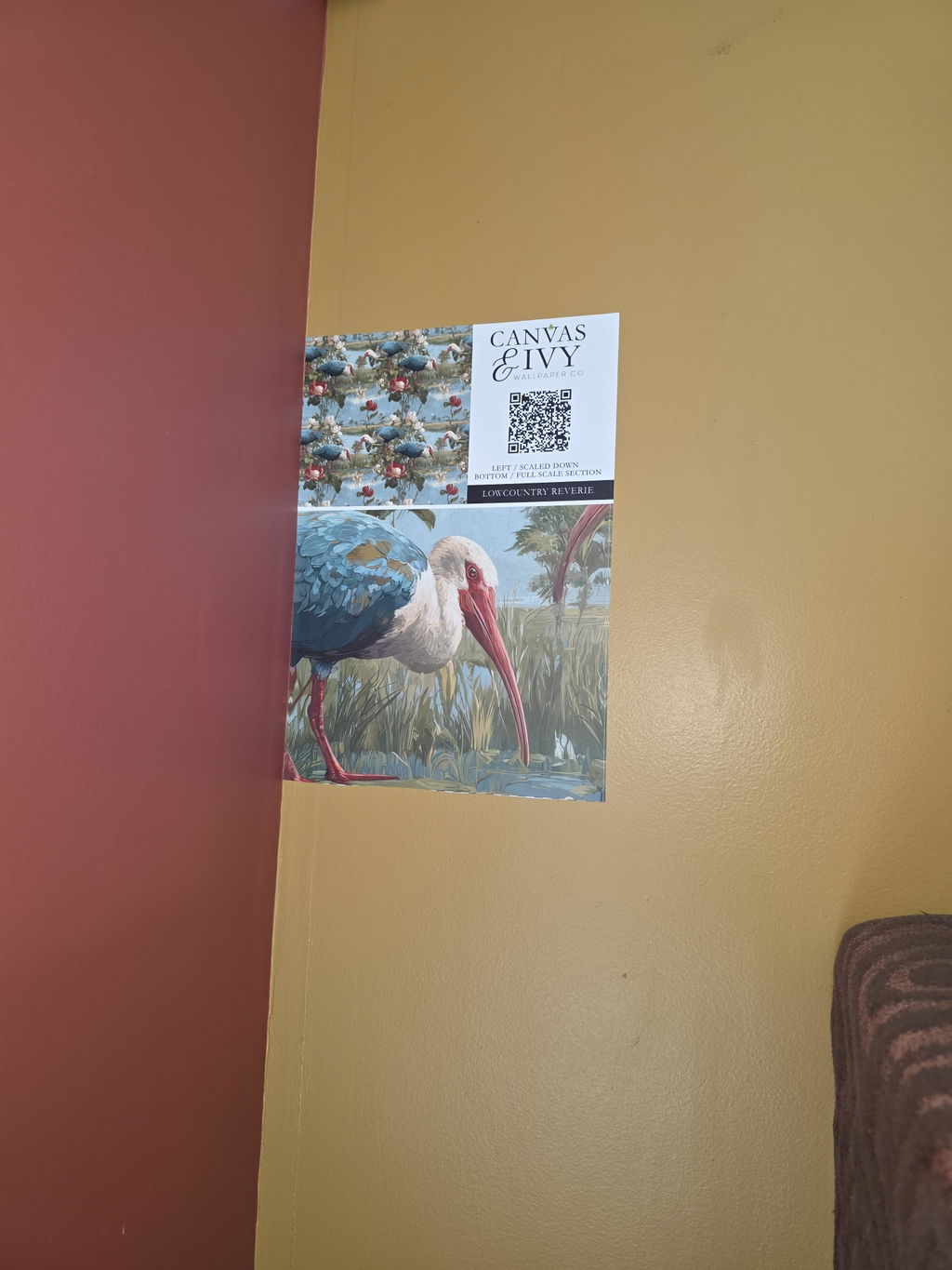 Customer photo from Anthony Piscopia's Canvas & Ivy review