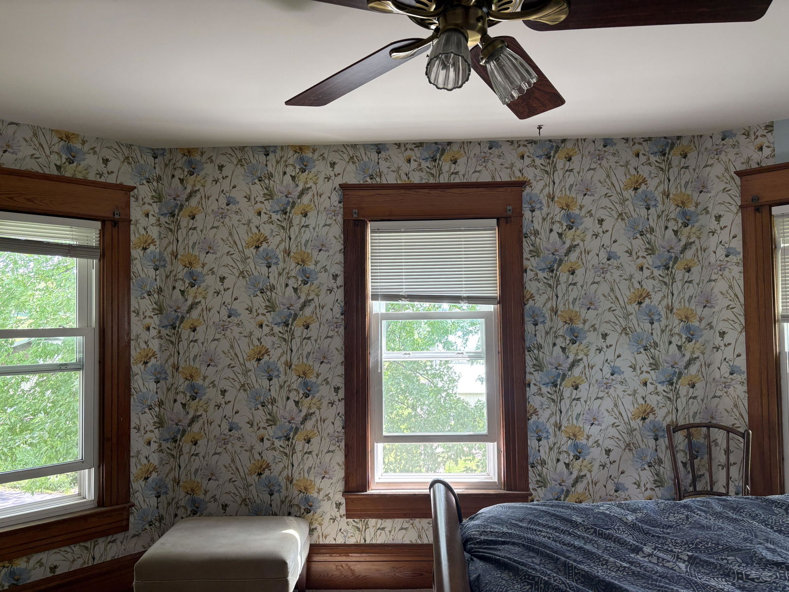 Customer photo from pkoenecke's Canvas & Ivy review