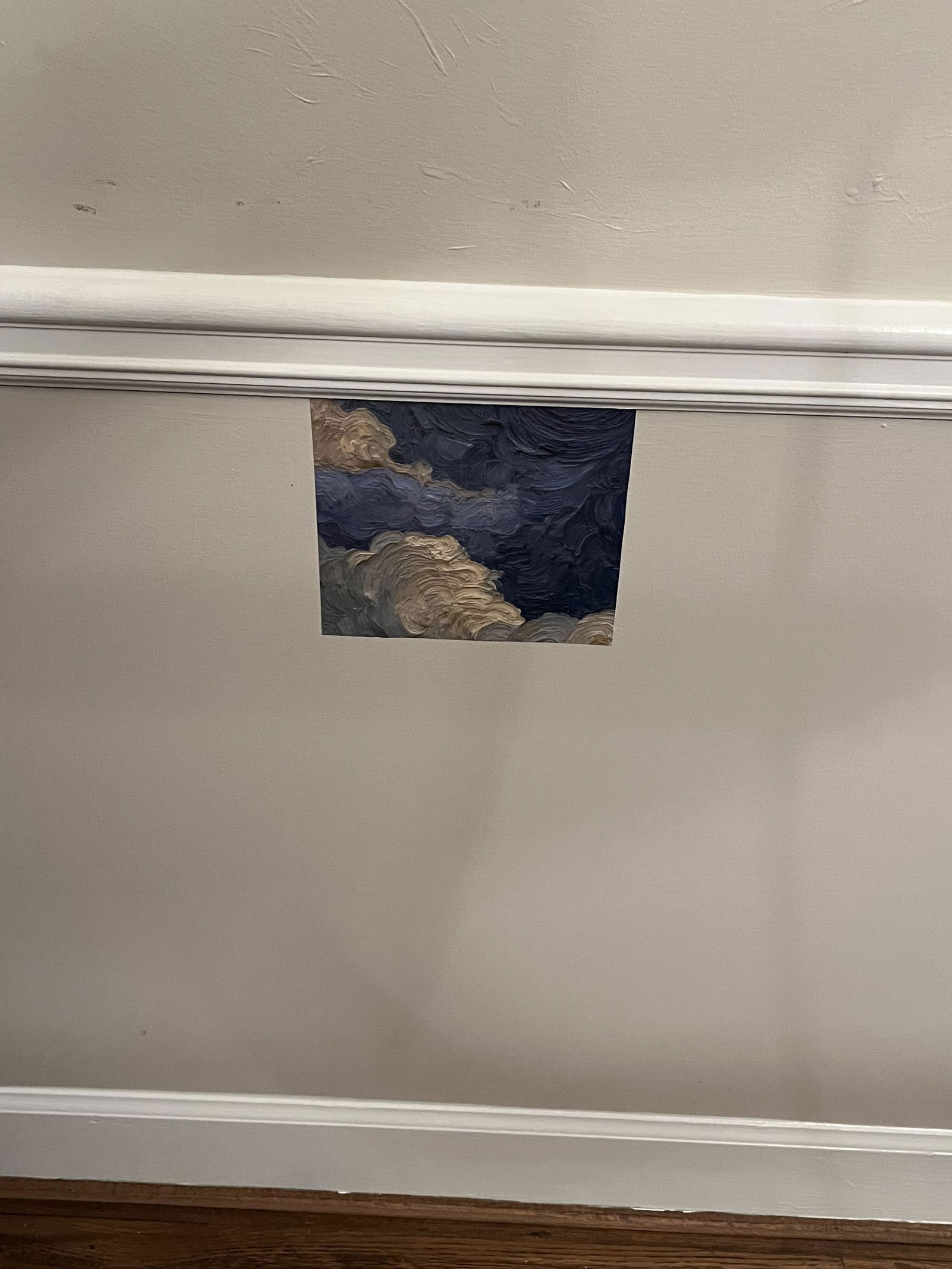 Customer photo from lfranc8@gmail.com's Canvas & Ivy review