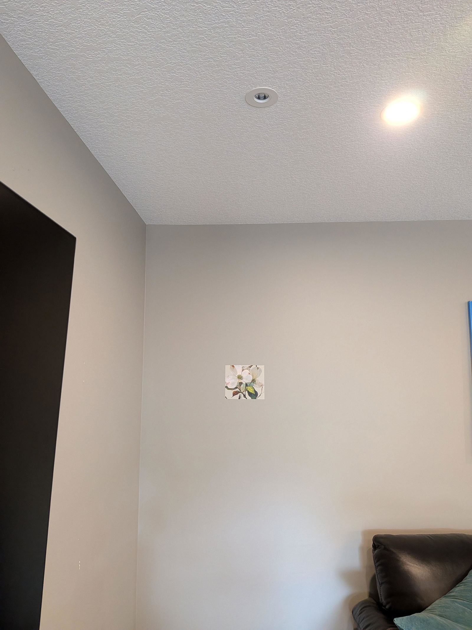 Customer photo from Nic Ouimet's Canvas & Ivy review
