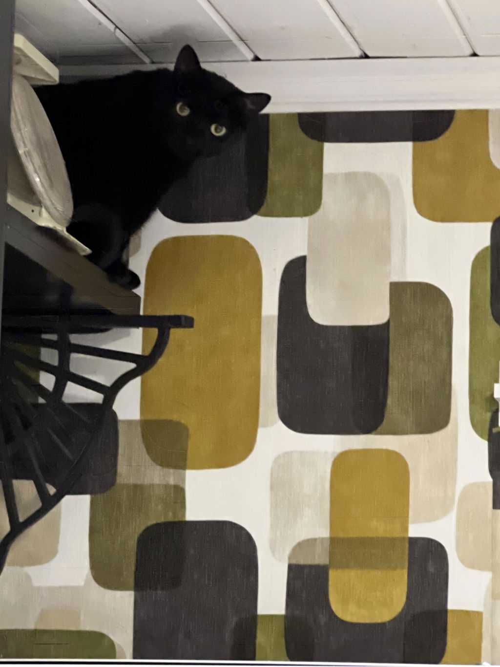 Customer photo from Connie Soule's Canvas & Ivy review