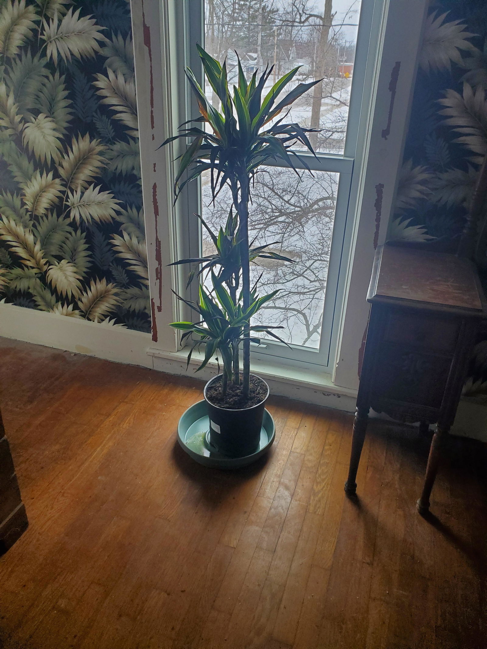 Customer photo from Stacey Wagner's Canvas & Ivy review