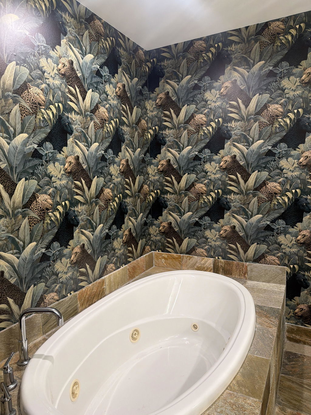 Customer photo — Amadora Wildlands Wallpaper