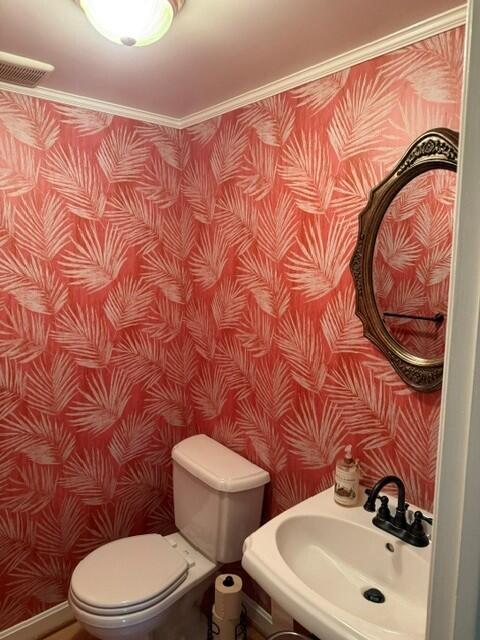 Customer photo — Caldera Palm Wallpaper