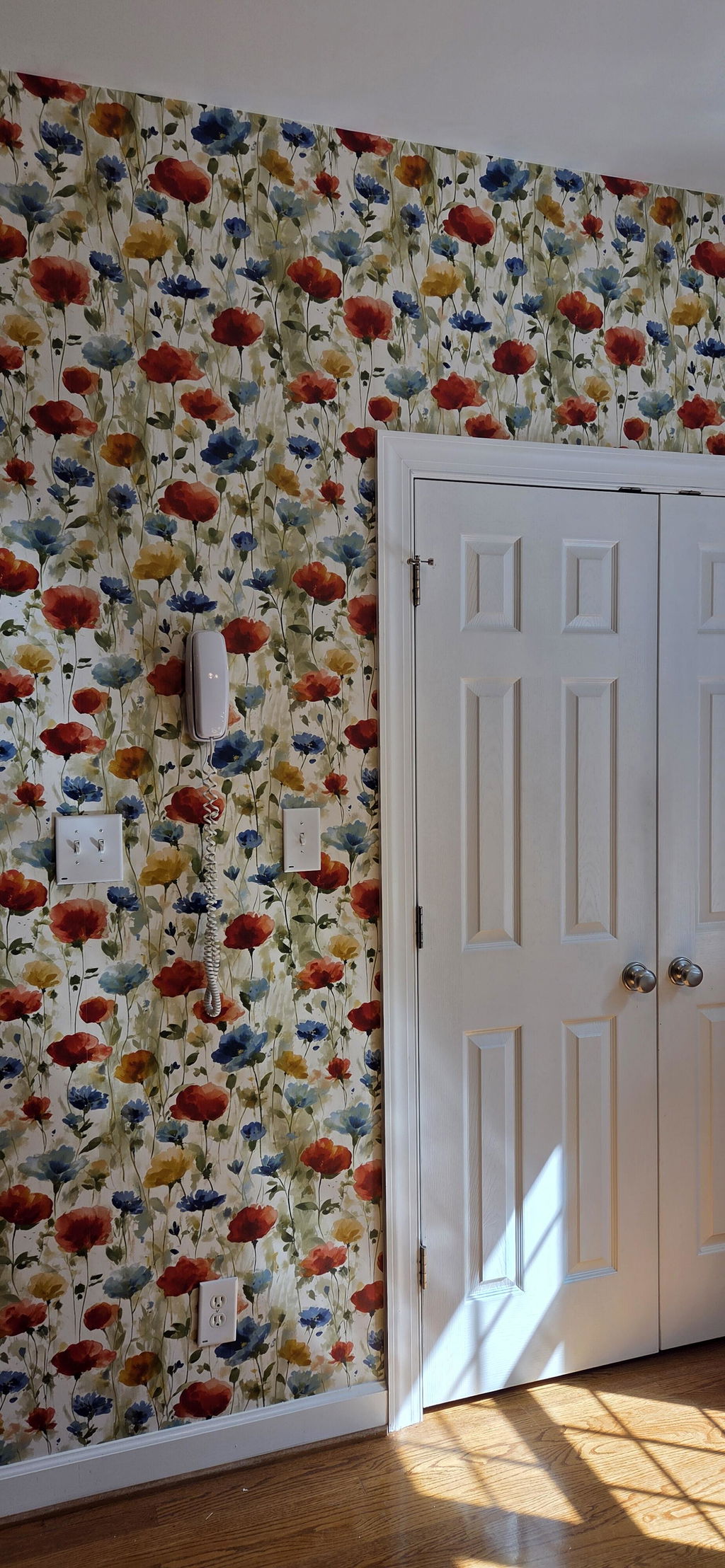 Customer photo — Meadow Waltz Wallpaper