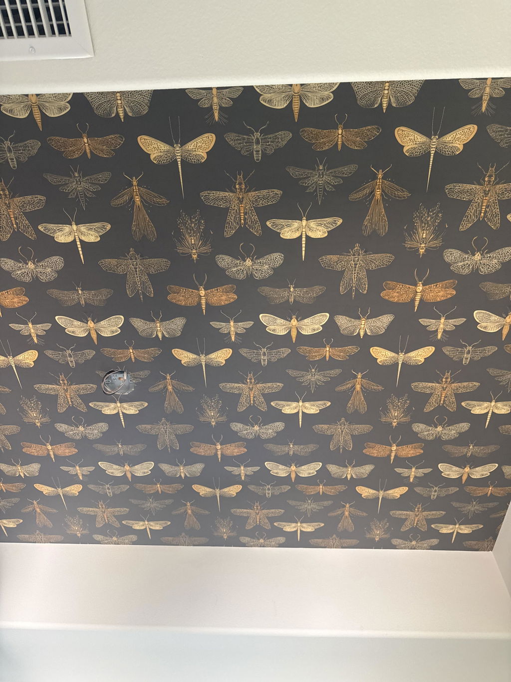Customer photo — Gilded Entomology Wallpaper
