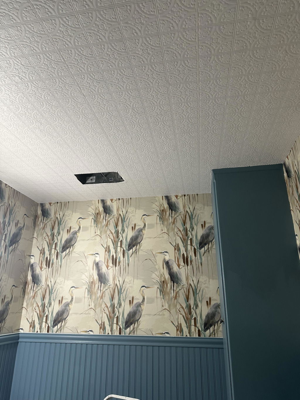 Customer photo — Marshland King Wallpaper