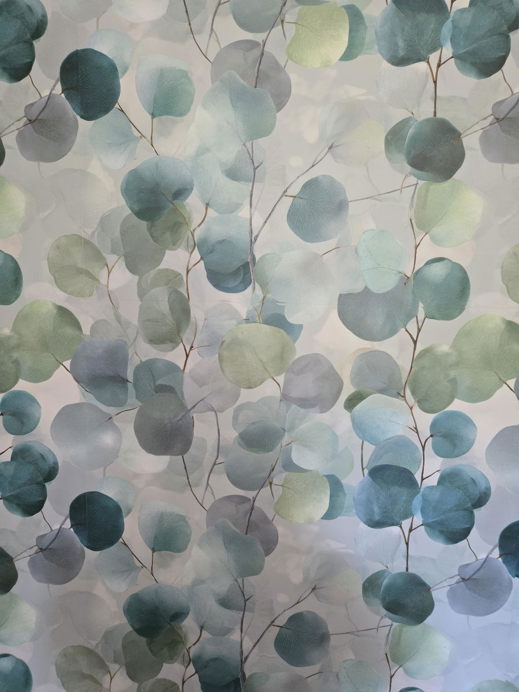 Wallpaper photo from Linda Livingood