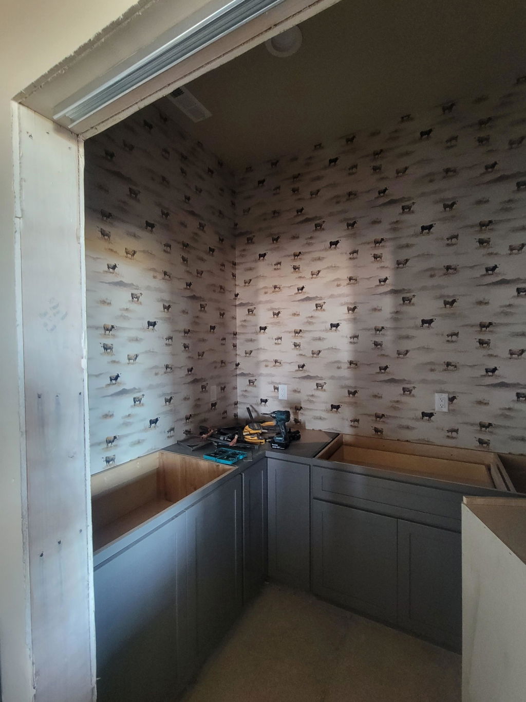 Customer photo — Open Range Quiet Wallpaper