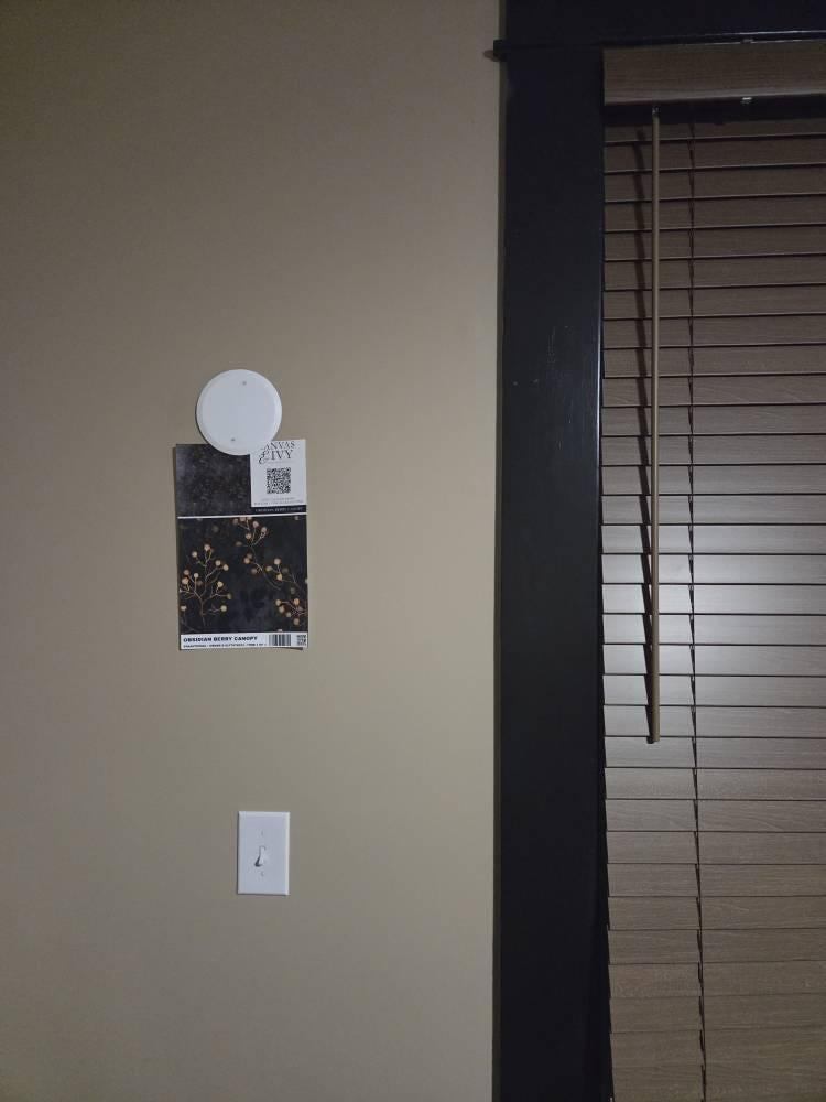 Customer photo — Obsidian Berry Canopy Wallpaper