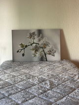 Cristina Foster Monjaraz review photo
