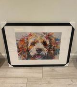 Laila review photo