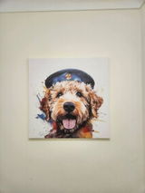 Justice review photo