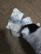 Anonymous review photo
