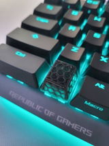 S review photo