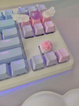 HS review photo