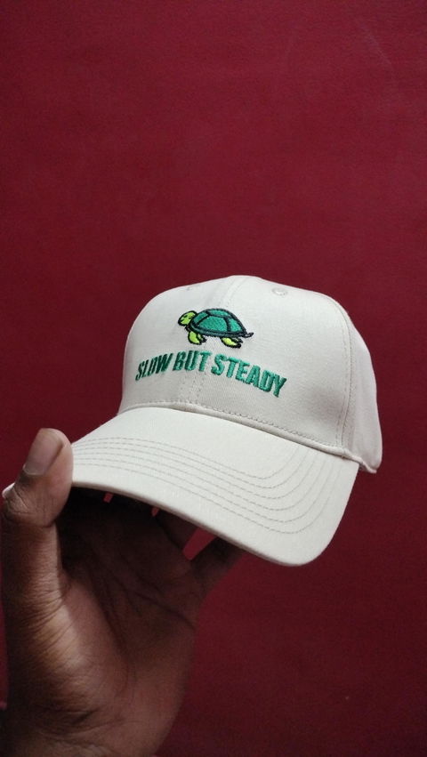 Slow But Steady