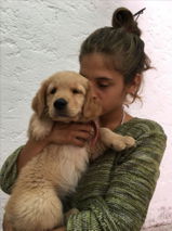 Shruti Vora review photo