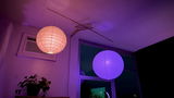 Todd Fahrner review photo