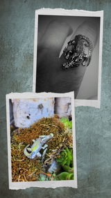 A. review photo