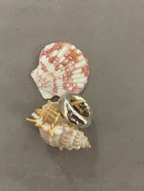 S.N. review photo