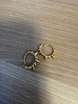 Moni review photo