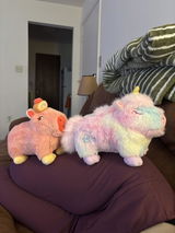 Anonymous review photo