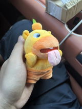 Claudio D. review photo