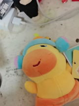 bry20 review photo