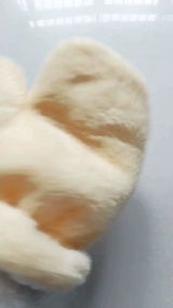 Luca F. review photo