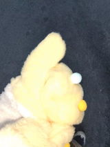 Luca F. review photo